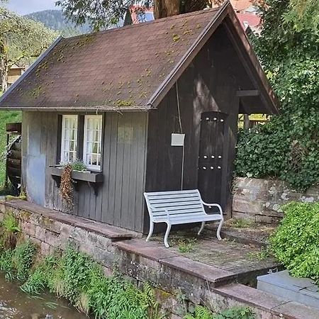 Schwarzwald Idyll Oberharmersbach Ngoại thất bức ảnh