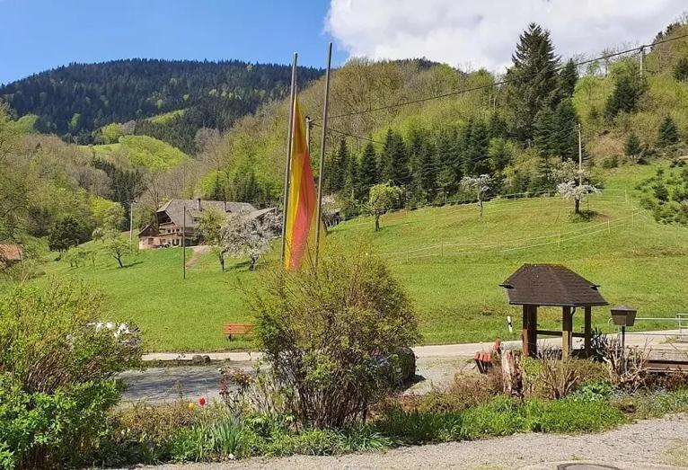 Schwarzwald Idyll Oberharmersbach Ngoại thất bức ảnh